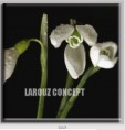 /album/photo-gallery-canvas-uri/decoratiuni-de-perete-canvas-lc-1113-jpg/